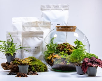 Large DIY Terrarium Kit - Globe | Eco Terrarium Kit | Glass Container and Plants