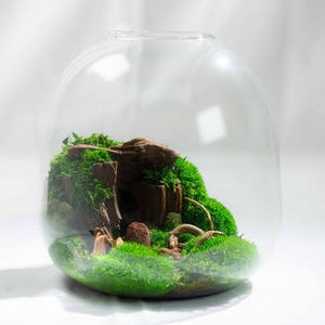 Preserved Moss Terrarium: Handblown Glass Cave Mossarium Centerpiece