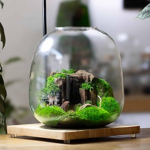 Może przedstawiać: Przezroczyste szklane terrarium z miniaturowym krajobrazem w środku. Terrarium zawiera małą formację skalną pokrytą żywym zielonym mchem i roślinami. Stoi na drewnianej podstawie, tworząc naturalną, dekoracyjną ekspozycję.