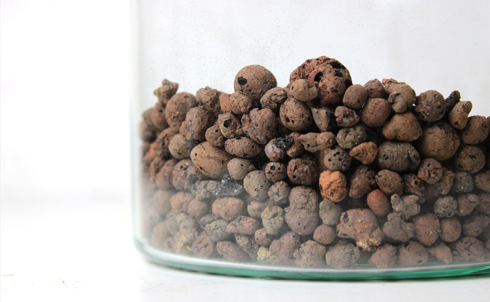 Leca Terrarium Drainage Hydroton Clay Pebbles Expanding Etsy UK