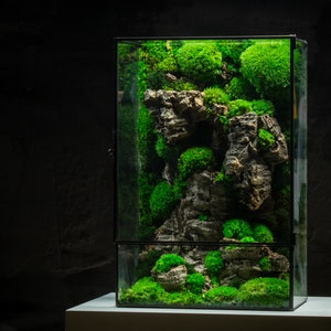 Preserved terrarium moss box in a glass container with latch door