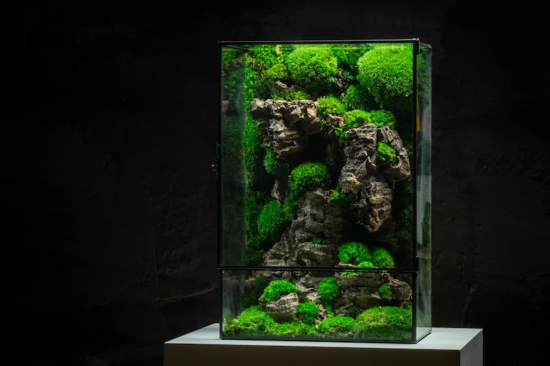 Preserved terrarium moss box in a glass container with latch door