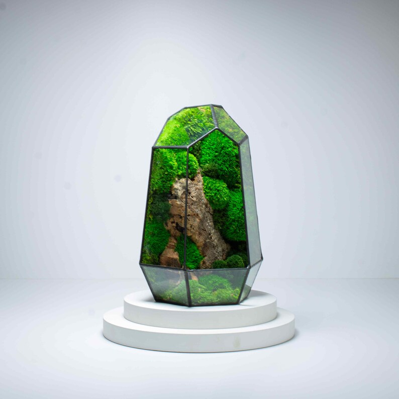 Geometric Terrarium Prism Desktop Mossarium Centrepiece Preserved Moss Art Terrarium Crafts for Adults image 9