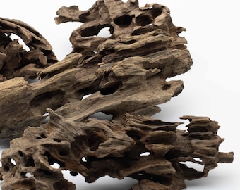 Honeycomb Wood Dragon Wood Pieces 10-20cm Small for Terrariums, Aquariums & Vivariums – Natural Driftwood Hardscape in Aquascaping, Reptiles