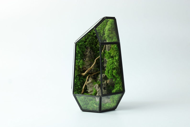 Geometric Terrarium | Prism | Desktop Mossarium Centrepiece | Preserved Moss Art Terrarium | Crafts for Adults 
