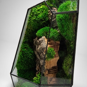 Geometric Terrarium | Prism | Desktop Mossarium Centrepiece | Preserved Moss Art Terrarium | Crafts for Adults