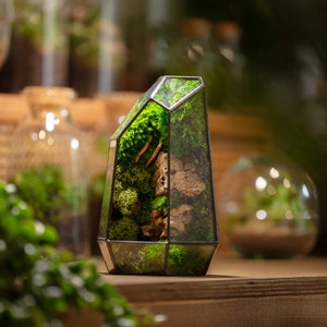 Geometric Terrarium Prism Desktop Mossarium Centrepiece Preserved Moss Art Terrarium Crafts for Adults image 6