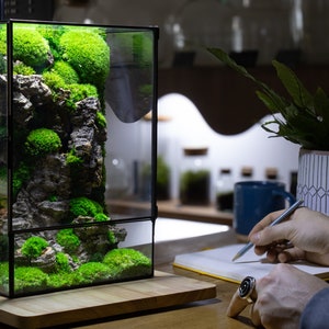Explore the beauty of nature with our deluxe terrarium, complete with lush moss and decorative accents for an elegant touch to any space.