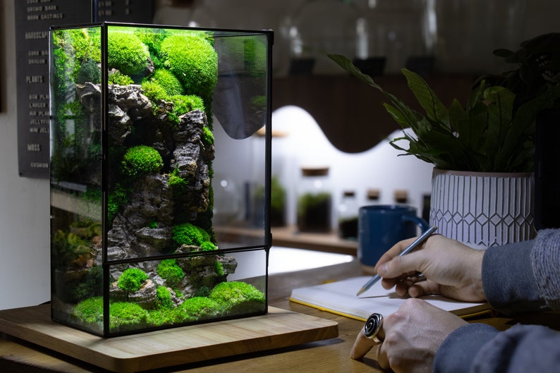 Explore the beauty of nature with our deluxe terrarium, complete with lush moss and decorative accents for an elegant touch to any space.