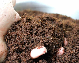 fibre de coco | Noix de coco de qualité supérieure pour terrariums, plantes en pot et jardinières d'intérieur | Terreau d'empotage | Substitut de tourbe de mousse