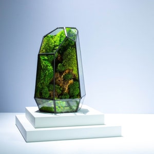 Geometric Terrarium Prism Desktop Mossarium Centrepiece Preserved Moss Art Terrarium Crafts for Adults Classic