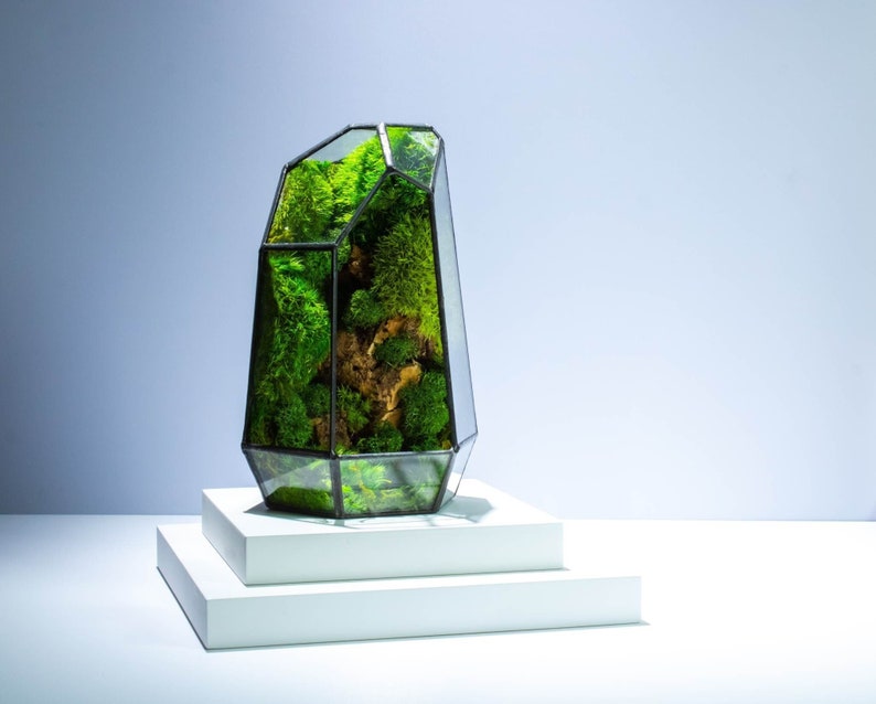 Geometric Terrarium Prism Desktop Mossarium Centrepiece Preserved Moss Art Terrarium Crafts for Adults Classic