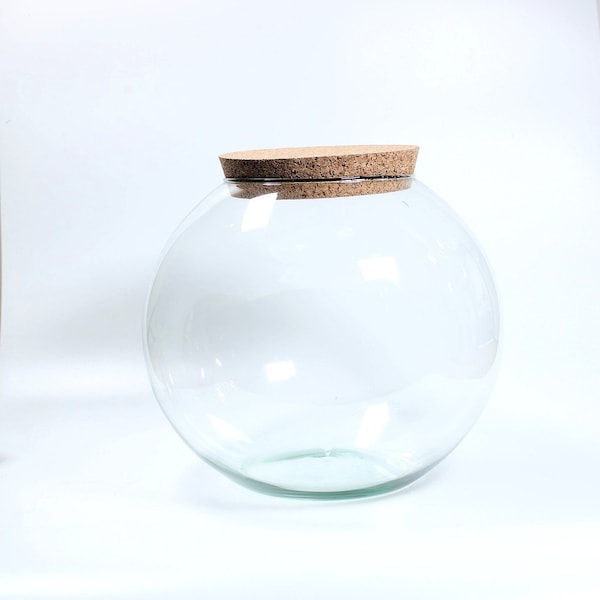 Grand récipient en verre pour terrarium avec globe 25 cm | Pot fermé pour terrariums avec couvercle