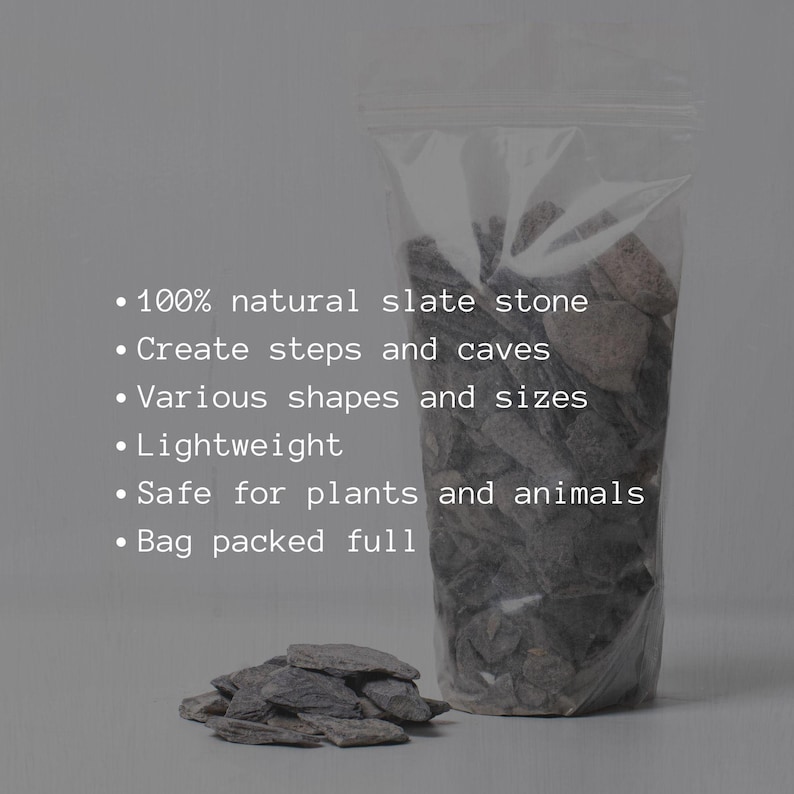 Flat slate rock fragments, used to shape terrain and add contrast in terrariums, vivariums, and underwater plant environments.