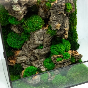 Elegant moss terrarium featuring lush greenery in a sleek glass container