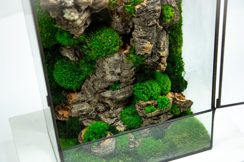 Elegant moss terrarium featuring lush greenery in a sleek glass container