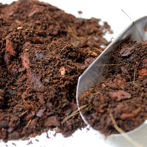 May include: A close-up of a scoop of dark brown soil with small pieces of bark and fibres. The soil is in a metal scoop and is on a white surface.