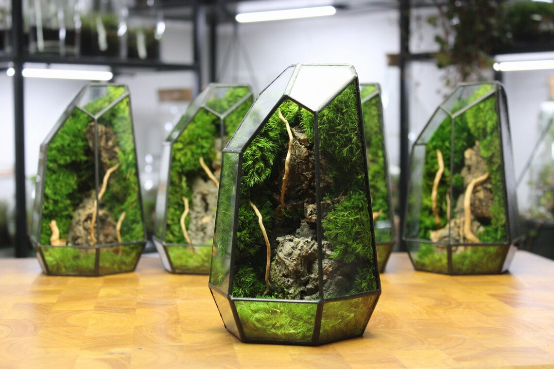Geometric Terrarium Prism Desktop Mossarium Centrepiece Etsy