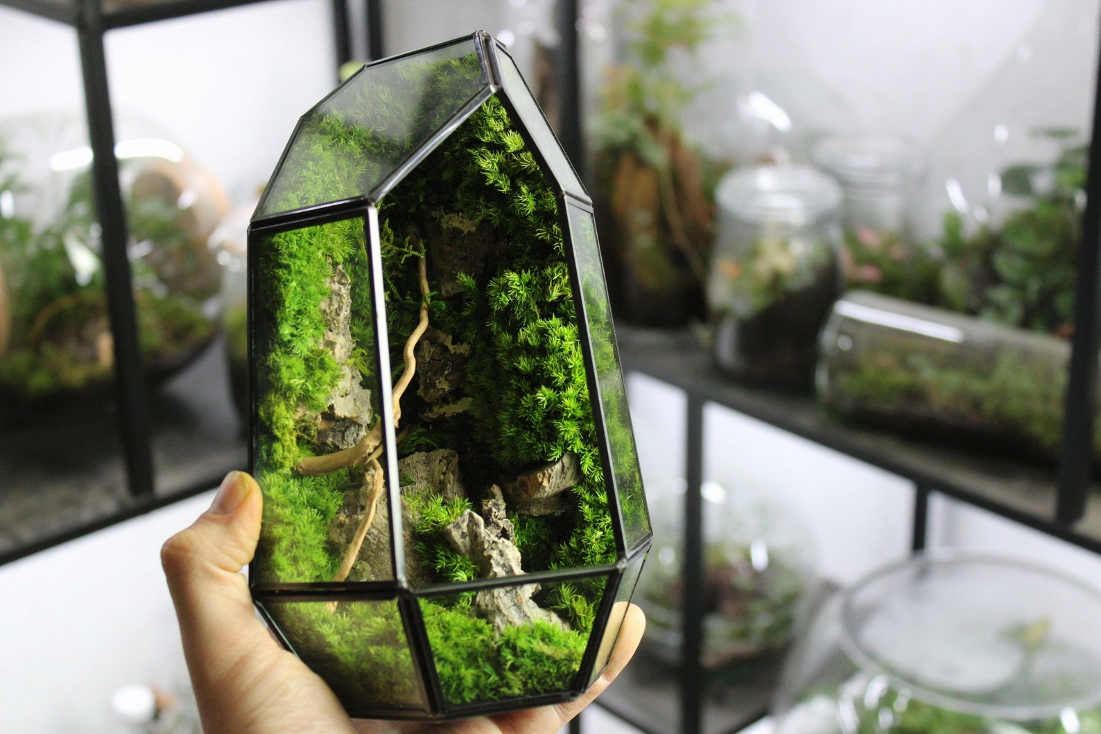 Geometric Terrarium Prism Desktop Mossarium Centrepiece Etsy