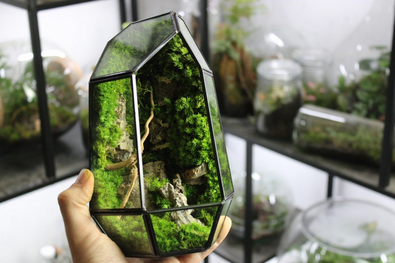 Geometric Terrarium Prism Desktop Mossarium Centrepiece Etsy