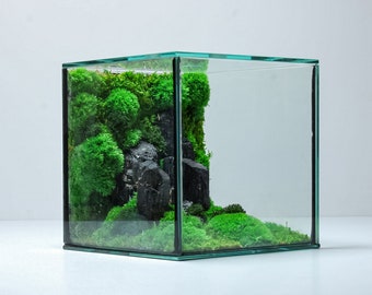 Cube Terrarium | Preserved Zero-maintenance Mossarium Centrepiece | Moss Art