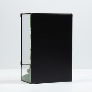 Terrarium large, a stunning showcase of verdant moss and lush foliage for a touch of natural beauty.