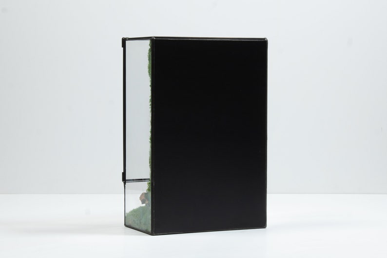 Terrarium large, a stunning showcase of verdant moss and lush foliage for a touch of natural beauty.