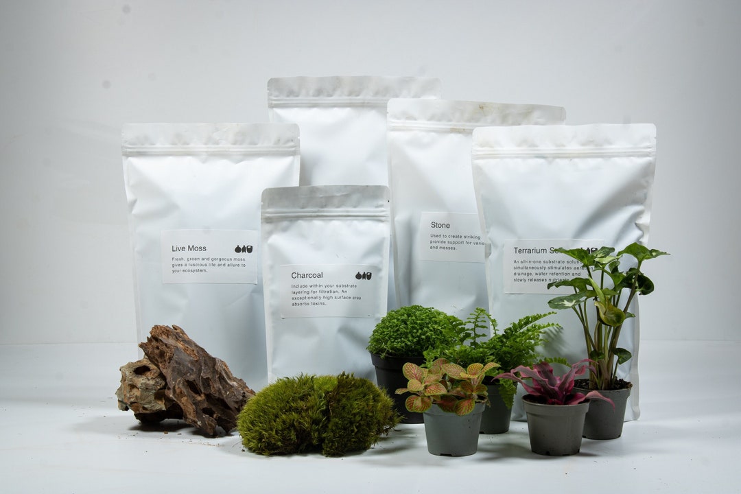 Terrarium Substrate Kit Pack LECA, Charcoal and Soil Upgrade for Plants