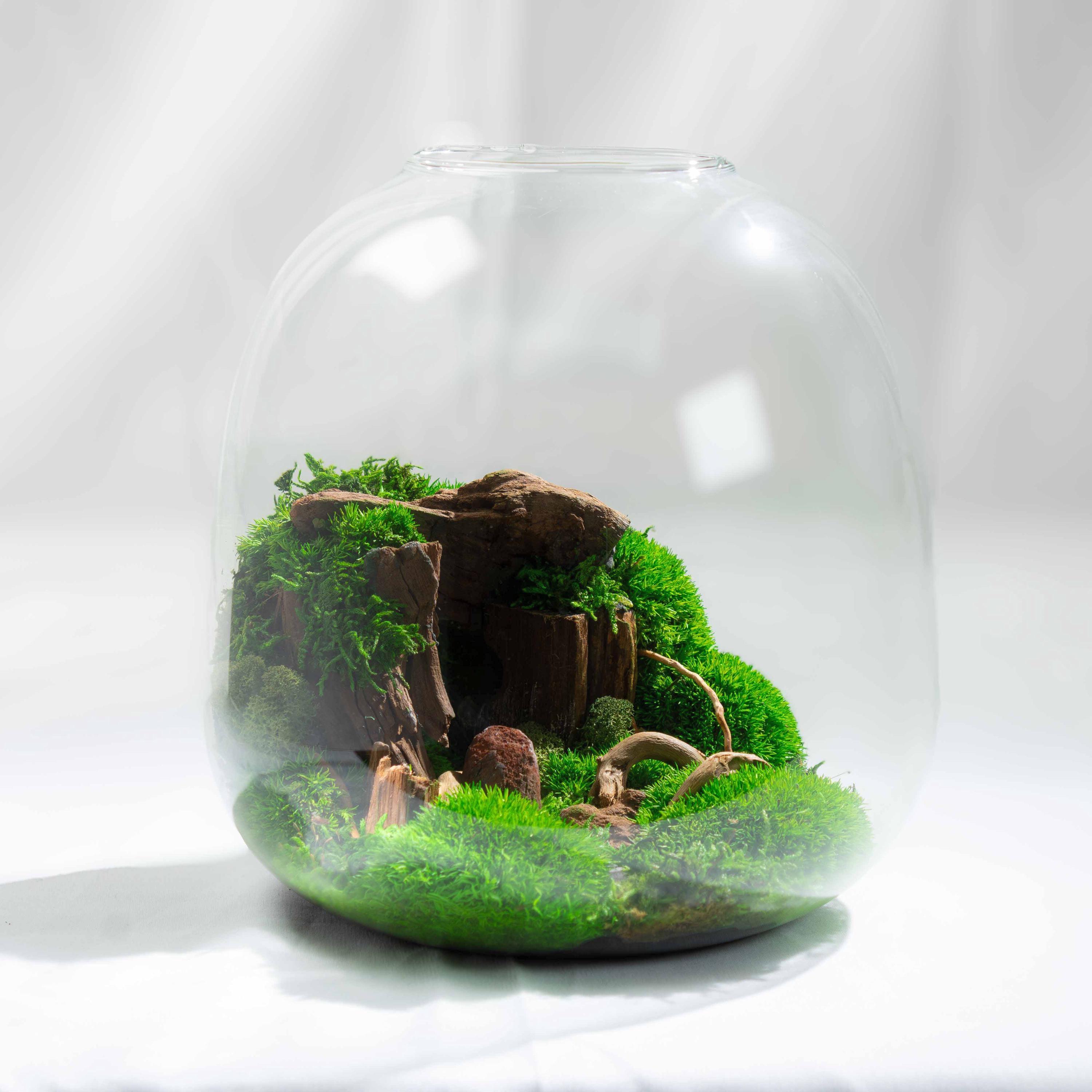 Preserved Moss Terrarium: Handblown Glass Cave Mossarium Centerpiece