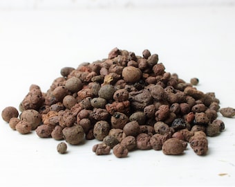 LECA Clay Pebbles, Hydroton Gravel Terrarium and Hydroponic Growing Drainage Medium | Soil-Free Substrate for Moss, Plants and Bioactive