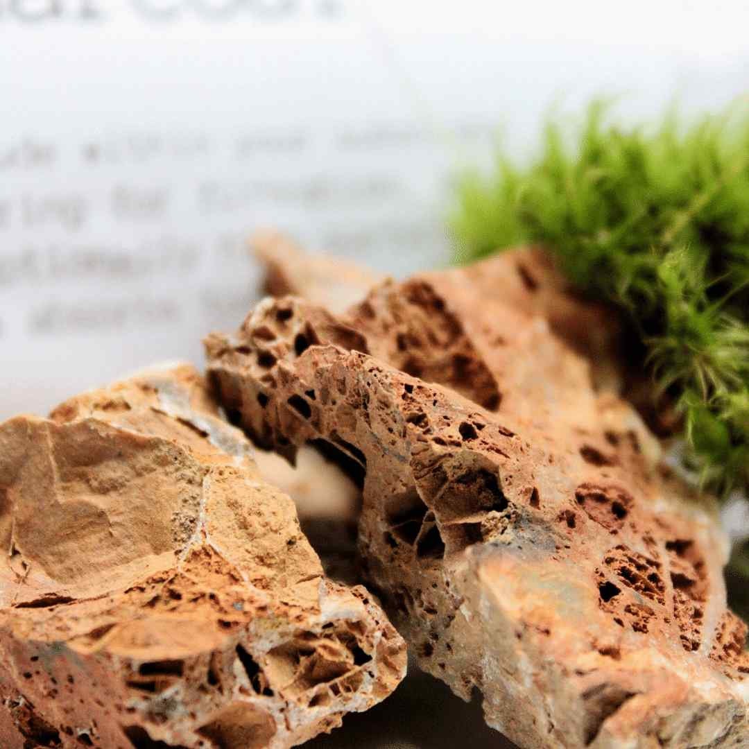 Terrarium Substrate Kit Pack Leca Charcoal and Soil Stone Etsy UK