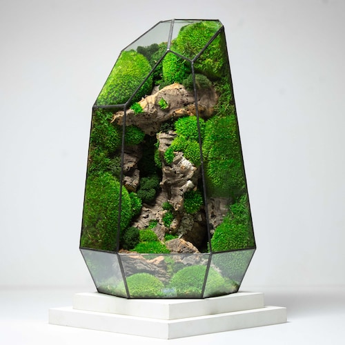 Geometric Terrarium | Prism | Desktop Mossarium Centrepiece | Preserved Moss Art Terrarium | Crafts for Adults