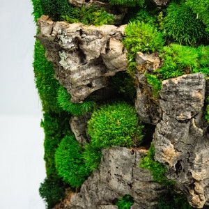 Terrarium large, a stunning showcase of verdant moss and lush foliage for a touch of natural beauty.