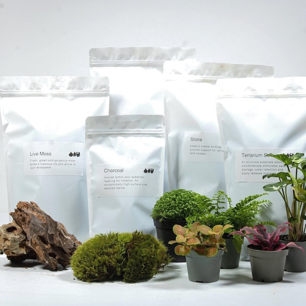 Terrarium Substrate Kit Pack – DIY LECA, Charcoal, Soil, Moss and Stone Set with Plants | Complete Build Bundle for Creative Nature Projects