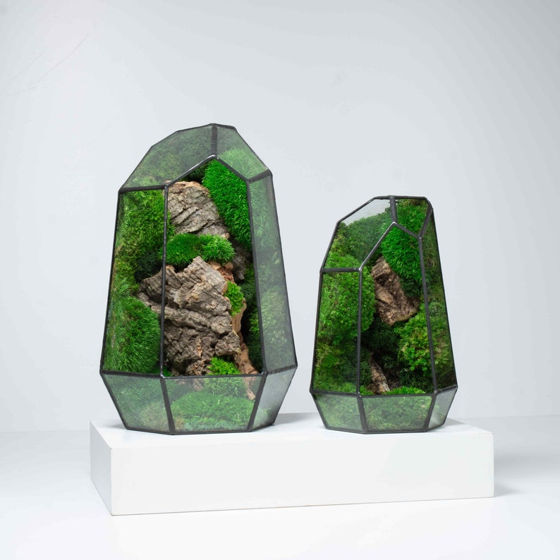 Geometric Terrarium Prism Desktop Mossarium Centrepiece Preserved Moss Art Terrarium Crafts for Adults Large