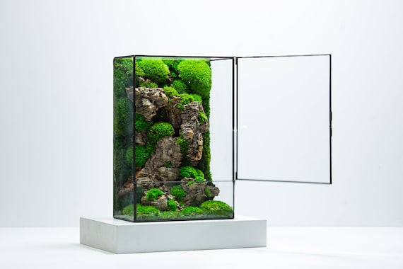 Moss Terrarium Box | A Ready-Assembled Geometric Green Mossarium Centrepiece with Preserved Moss Art Decor