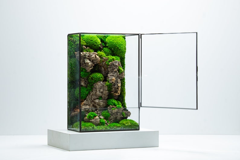 Admire the intricate details of our moss terrarium with a  door, featuring a variety of textures and shades of green, carefully arranged to create a captivating natural scene