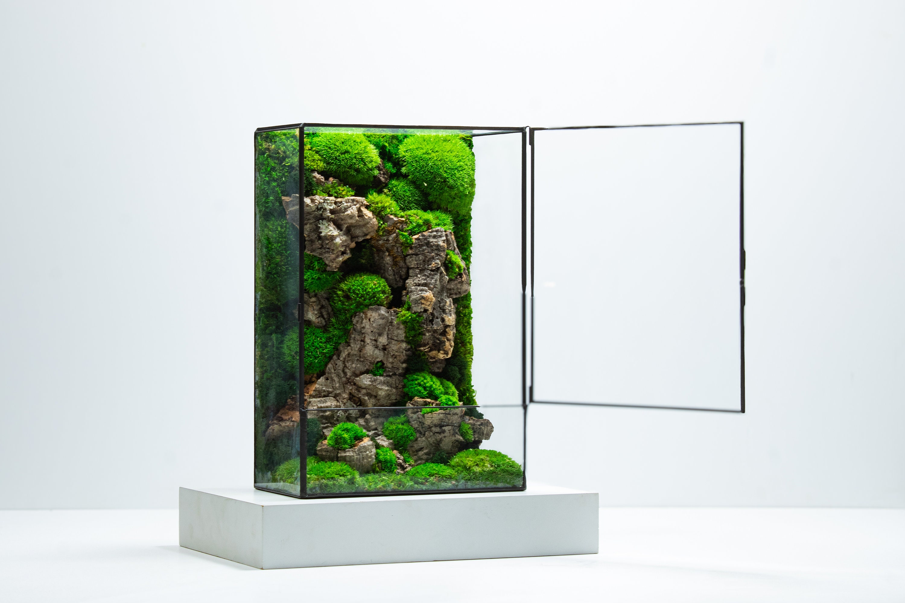 Moos Box Terrarium | Ein fertig montiertes geometrisches grünes Mittelstück mit erhaltenem Mooskunstdekor