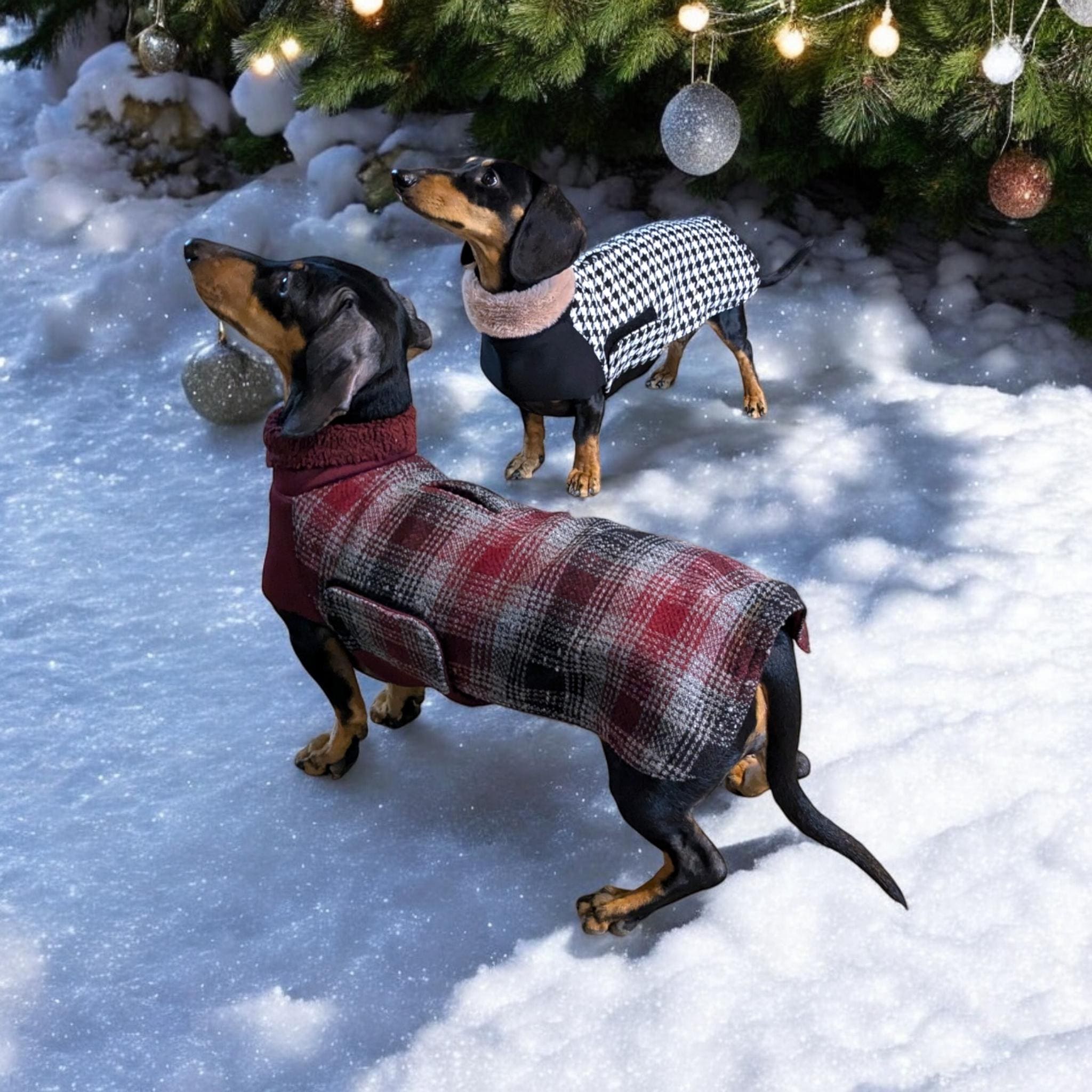 Custom tweed wool dog coat. Sherpa lined winter coat with funnel neck. Designed for Dachshunds, Doxies, sausage dog coats. Customizable.