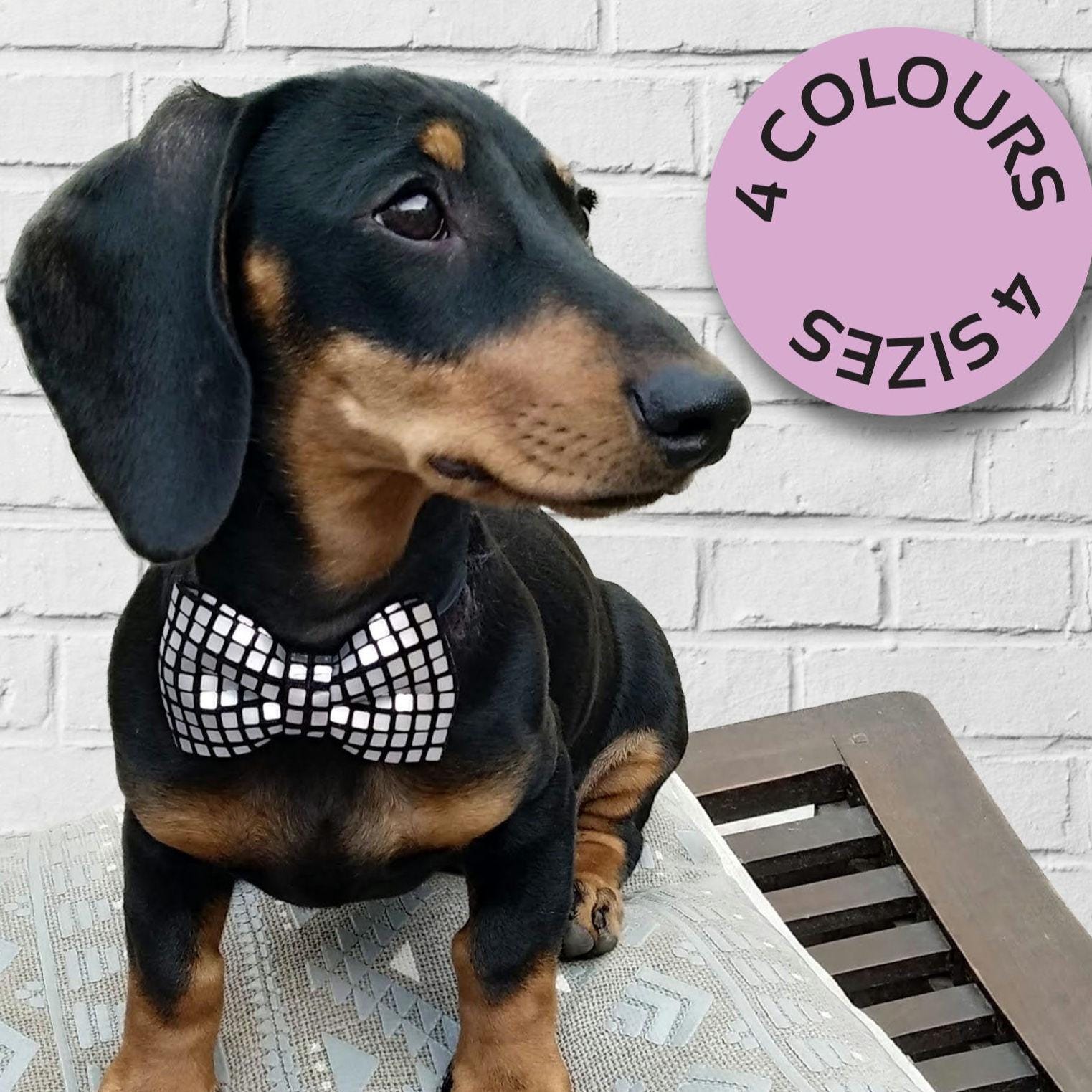 slim fit dress slacks Glitter Dog Dress Rose Gold