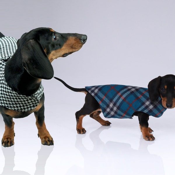 Dachshund Jacket Etsy