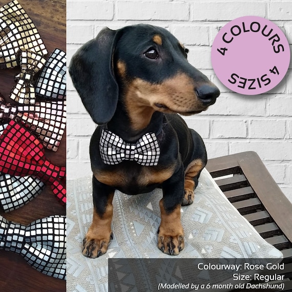 Etsy dog bow tie cheap
