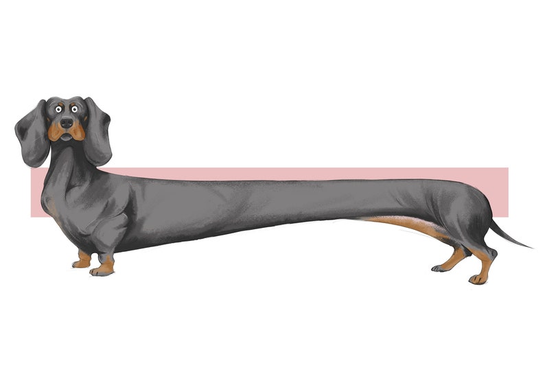 Sausage Dog Print. Dachshund wall art Sausagedog artwork | Etsy
