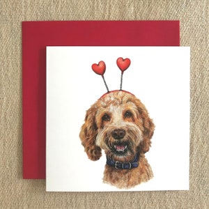 Carte Cockapoo Saint-Valentin