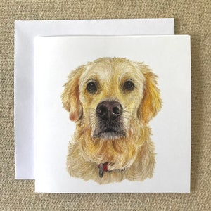 Golden Retriever Greetings Card