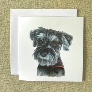 Miniature Schnauzer Greetings Card