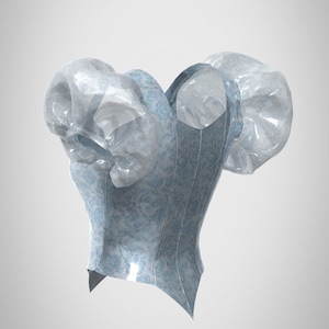 Puede incluir: Un cors&eacute; azul y blanco con estampado y mangas abullonadas. El cors&eacute; est&aacute; hecho de un material brillante, similar al sat&eacute;n.