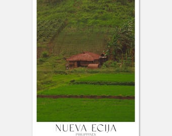 Impresión del campo de arroz de Nueva Ecija – Fotografía de naturaleza de Filipinas, decoración de Nipa Hut