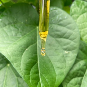 May include: A clear glass dropper filled with a golden yellow liquid, showing a single droplet suspended at the tip. The dropper is positioned vertically, with the transparent glass tube revealing the viscous fluid inside against a green background.