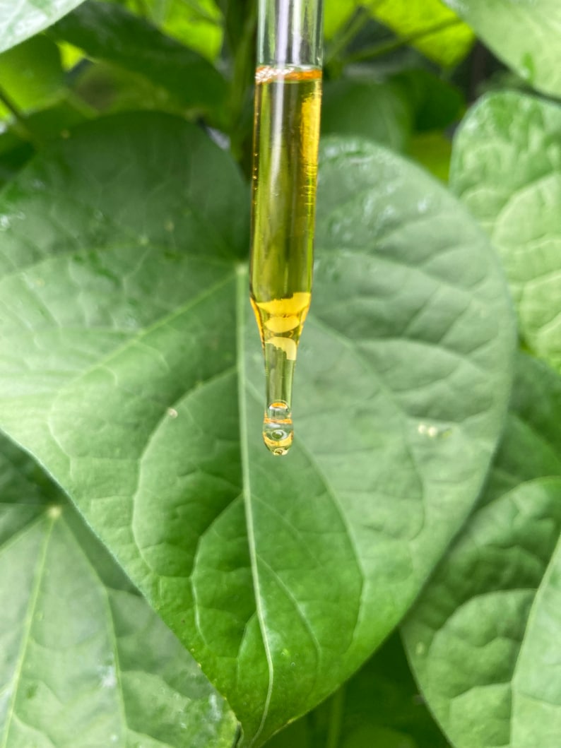 May include: A clear glass dropper filled with a golden yellow liquid, showing a single droplet suspended at the tip. The dropper is positioned vertically, with the transparent glass tube revealing the viscous fluid inside against a green background.